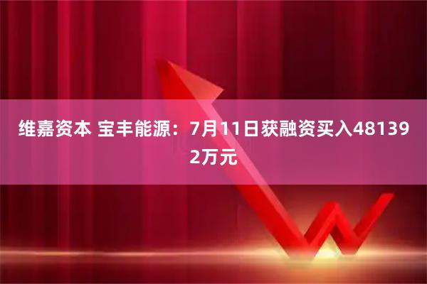 维嘉资本 宝丰能源：7月11日获融资买入481392万元