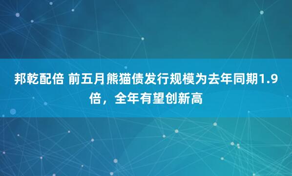 邦乾配倍 前五月熊猫债发行规模为去年同期1.9倍，全年有望创新高